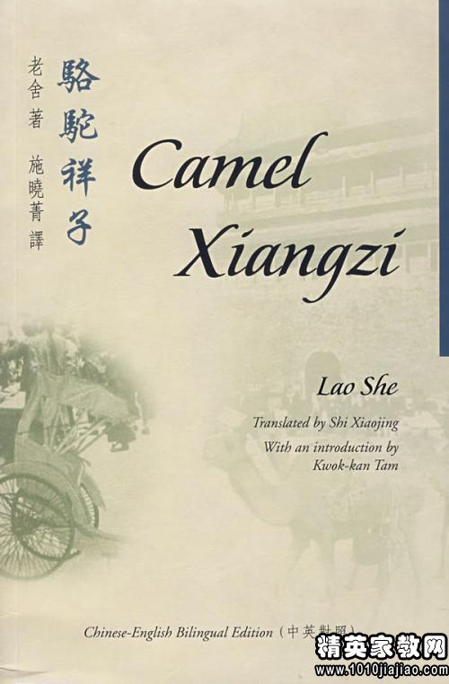 駱駝祥子讀后感作文優(yōu)秀開頭