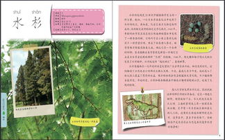 作文,奧秘,大自然,開(kāi)頭