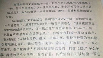 體驗(yàn)為作文開頭