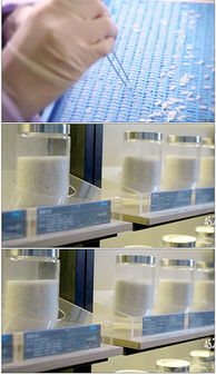 食品研發(fā)實結(公司研發(fā)部實結)