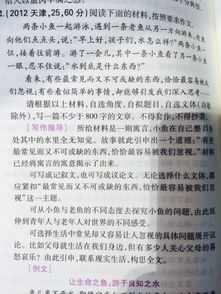 我看高三周末800字作文開頭