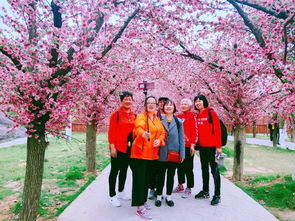 年關(guān)于五一活動報道(關(guān)于教師節(jié)活動報道)