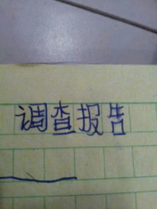 地名調(diào)查報告(地名調(diào)查報告)