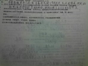 關(guān)于成長道路的詩作文開頭