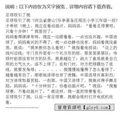 作文描寫(xiě)足球賽開(kāi)頭