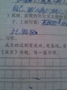 以咀嚼成長作文開頭結(jié)尾