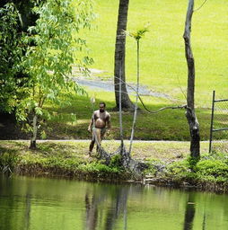 神奇的熱帶雨林之旅作文開頭
