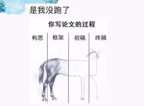 秋天如約而至作文,春天如約而至作文,盛夏如約而至作文