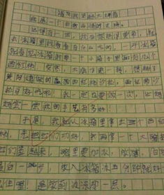 插敘開頭的作文600字