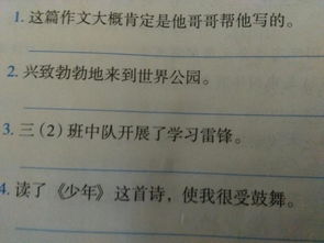 我的哥哥寫人抒情作文600字作文開頭