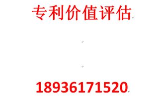 無(wú)形資產(chǎn)資產(chǎn)評(píng)估報(bào)告(無(wú)形資產(chǎn)評(píng)估報(bào)告（專利）)