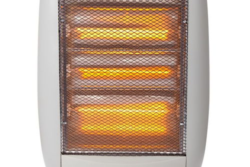 爬墻虎的作文的開(kāi)頭