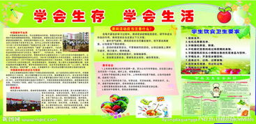 學(xué)會生存作文的精彩開頭