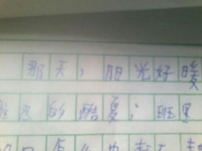 那一天陽光好溫暖作文500字作文開頭