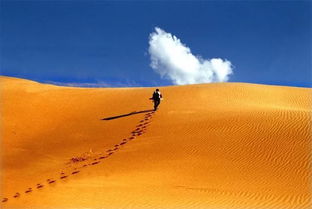 怎樣寫作文題記式開頭