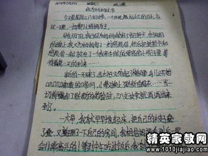 活動總結作文開頭