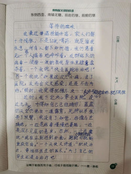 作文,疫情,開(kāi)頭