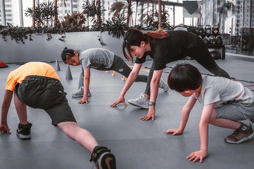 關于現(xiàn)實一點的作文開頭