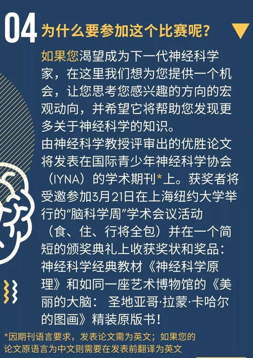 社會題材的作文開頭