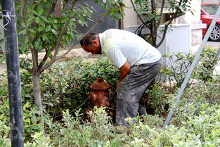 供水公司管網(wǎng)工作總結(jié)(供水管網(wǎng)改造研究)