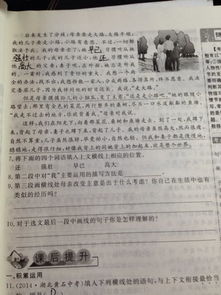 關于散步的作文開頭,以散步為題的作文開頭,散步作文開頭怎么寫