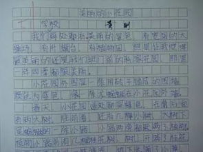 感謝母親寫事作文開頭結(jié)尾