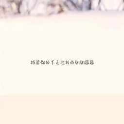 遇見你很幸運作文開頭