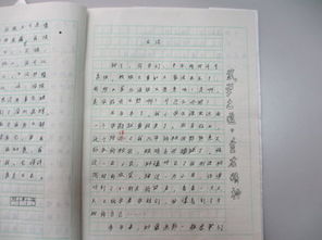 為自己的失敗喝彩作文開(kāi)頭結(jié)尾