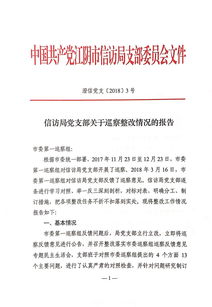 巡察整改報(bào)告(巡察反饋意見整改報(bào)告)