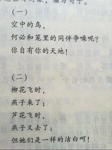 仿寫(xiě)句子到作文開(kāi)頭