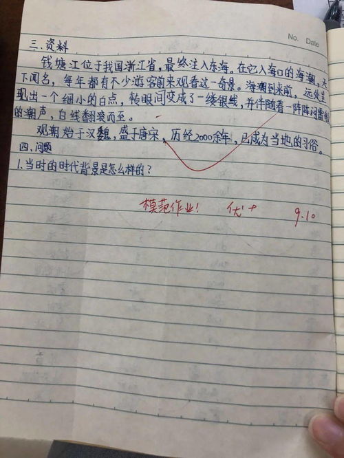 四級愛鳥日的作文開頭