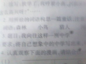 向往時(shí)間停止作文開頭