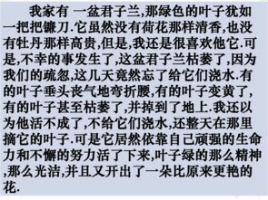 四下園地四作文開頭