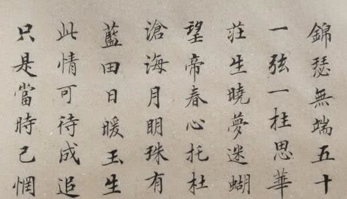 讓我最感動人作文開頭結(jié)尾