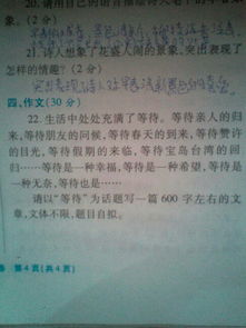 作文,開(kāi)頭,馬虎