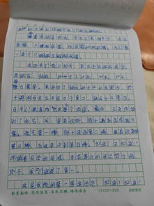 有趣的運(yùn)動會作文二級開頭