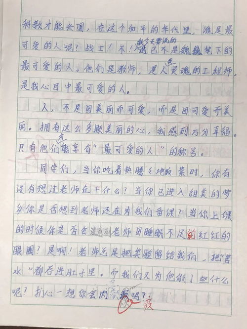 給語文老師的一封信作文開頭