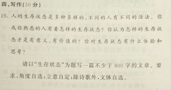 我要的明天作文開頭