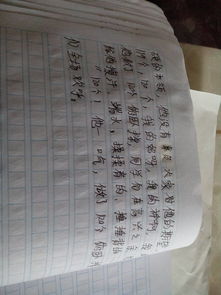 遺憾作文開頭結(jié)尾大全