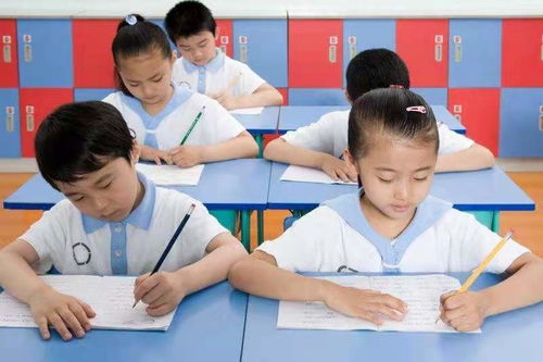 寫(xiě)情感感人作文開(kāi)頭