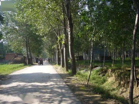 寒假的味道的作文開頭