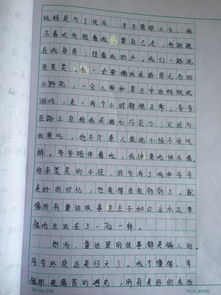 照片里的故事作文開頭初一