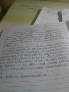 名著研究性學(xué)習(xí)方案 (名著之我見(jiàn) )