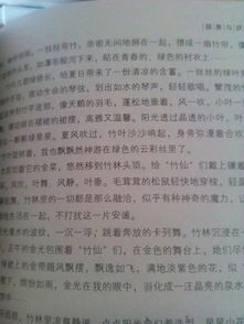 愿時(shí)光歸來作文開頭