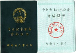 評中級職稱技術(shù)總結(jié)(評中級職稱技術(shù)總結(jié))