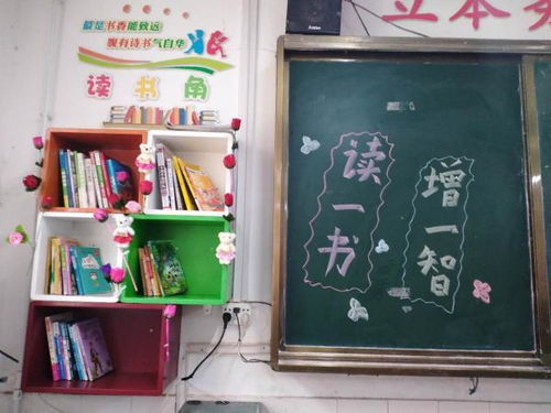 小學圖書角閱讀方案(圖書角小學作文)
