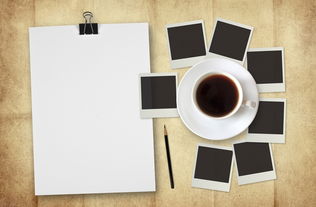 英語寫動物學校的作文開頭