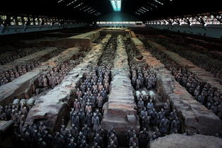 秦兵馬俑的作文開(kāi)頭