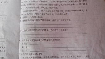 生活里的小鏡頭作文開頭