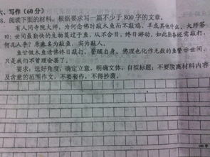 好作文好開頭帶題目